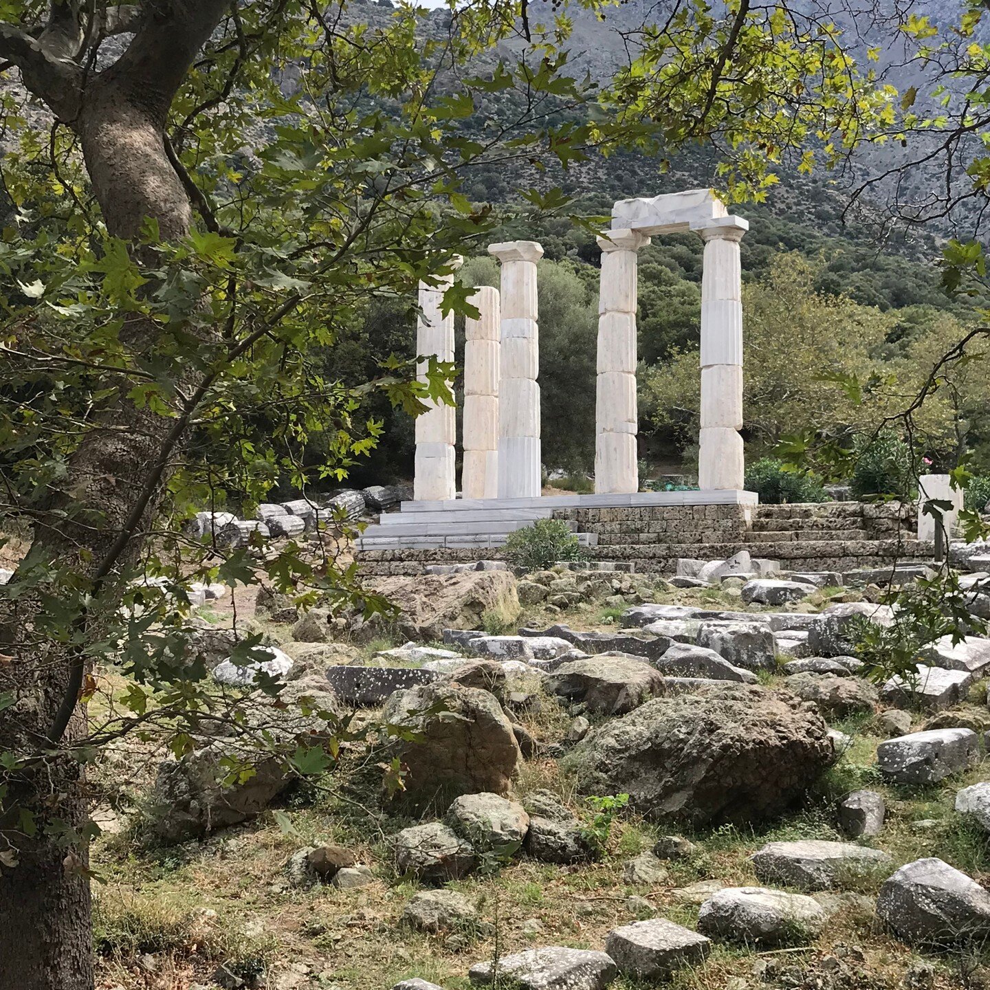 A humble pilgrim this morning, walking into the Sanctuary of the Great Gods at Samothrace 

Photo: Barnaby Rogerson

#roseandbarnabyingreece #samothrace #greekislands #aegeansea #sanctuaryofthegreatgods #pilgrimage #deathofaroyal #samothracetemplecom