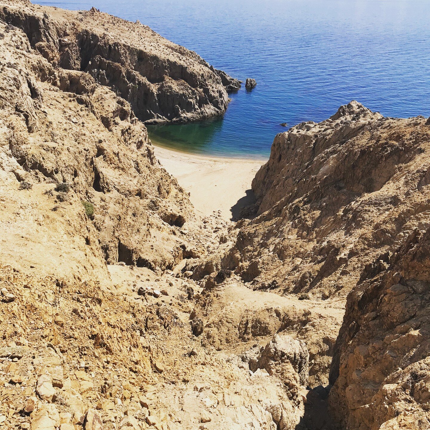 Thinking back to the summer and the beauty of Samothrace. Here cliff guarded silent beaches on the southern shore. 

Photo: Barnaby Rogerson

#memoriesofsummer #timepassing #roseandbarnabyingreece #samothrace #greekislands #aegeansea #sanctuaryoftheg