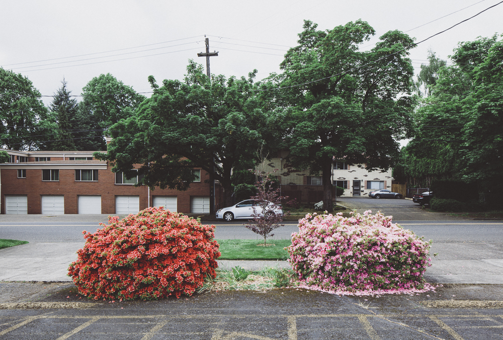  Winner, Urban Landscape - Darius Kuzmickas 