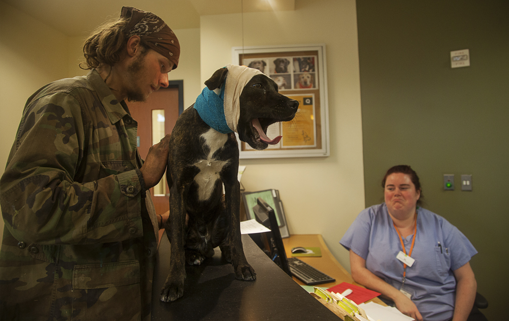  Honorable Mention, Series - Gia Goodrich 