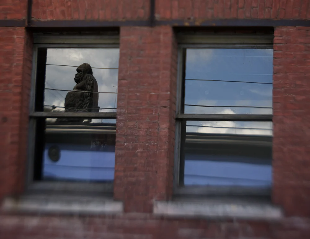  Runner Up, Lensbaby &nbsp;- Christopher Hulett 