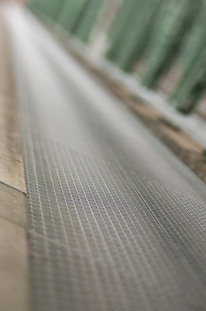  Honorable Mention, Lensbaby - Joe Telafici 