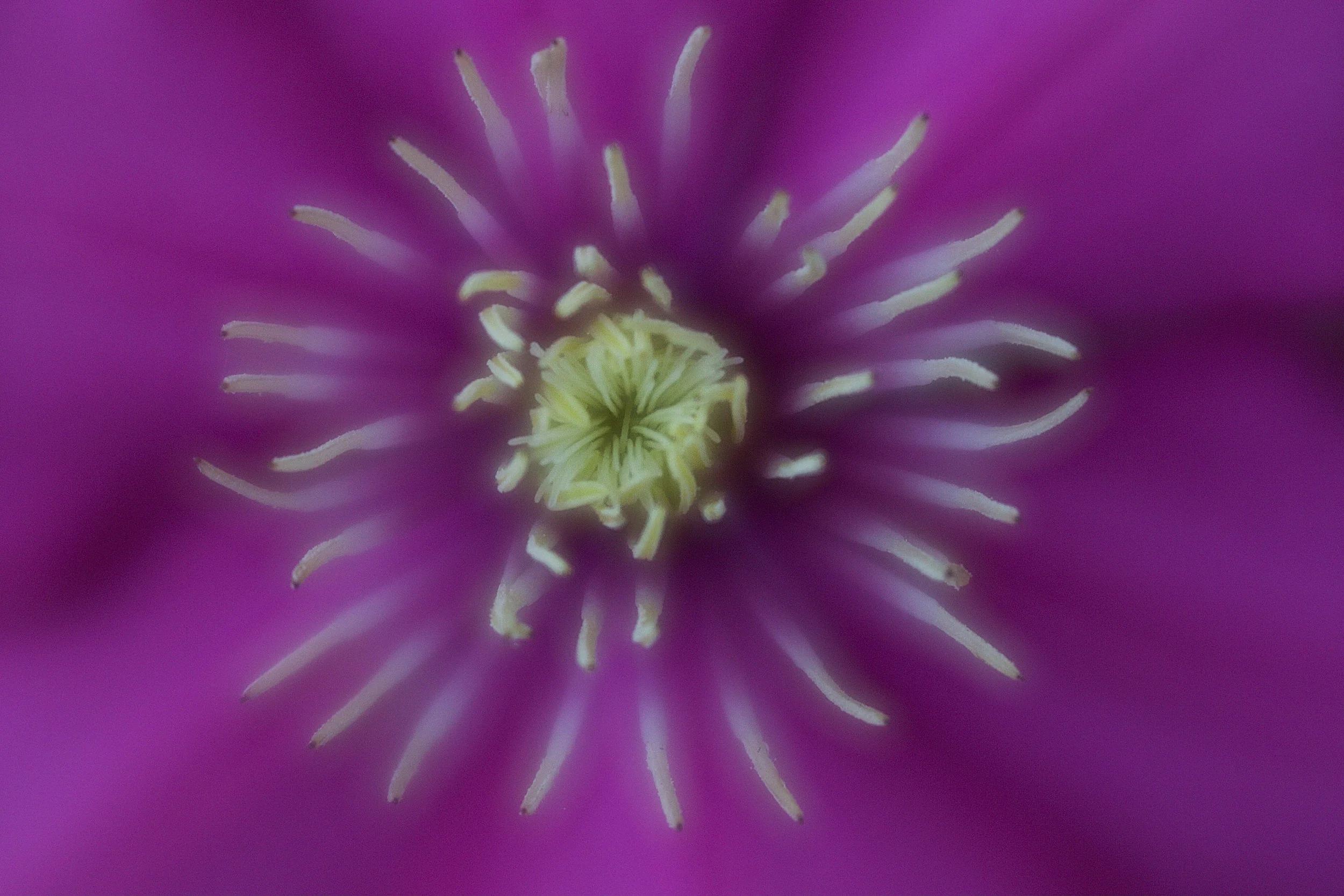 Richard Kolbell - Category Winner & Lensbaby Award: Natural World