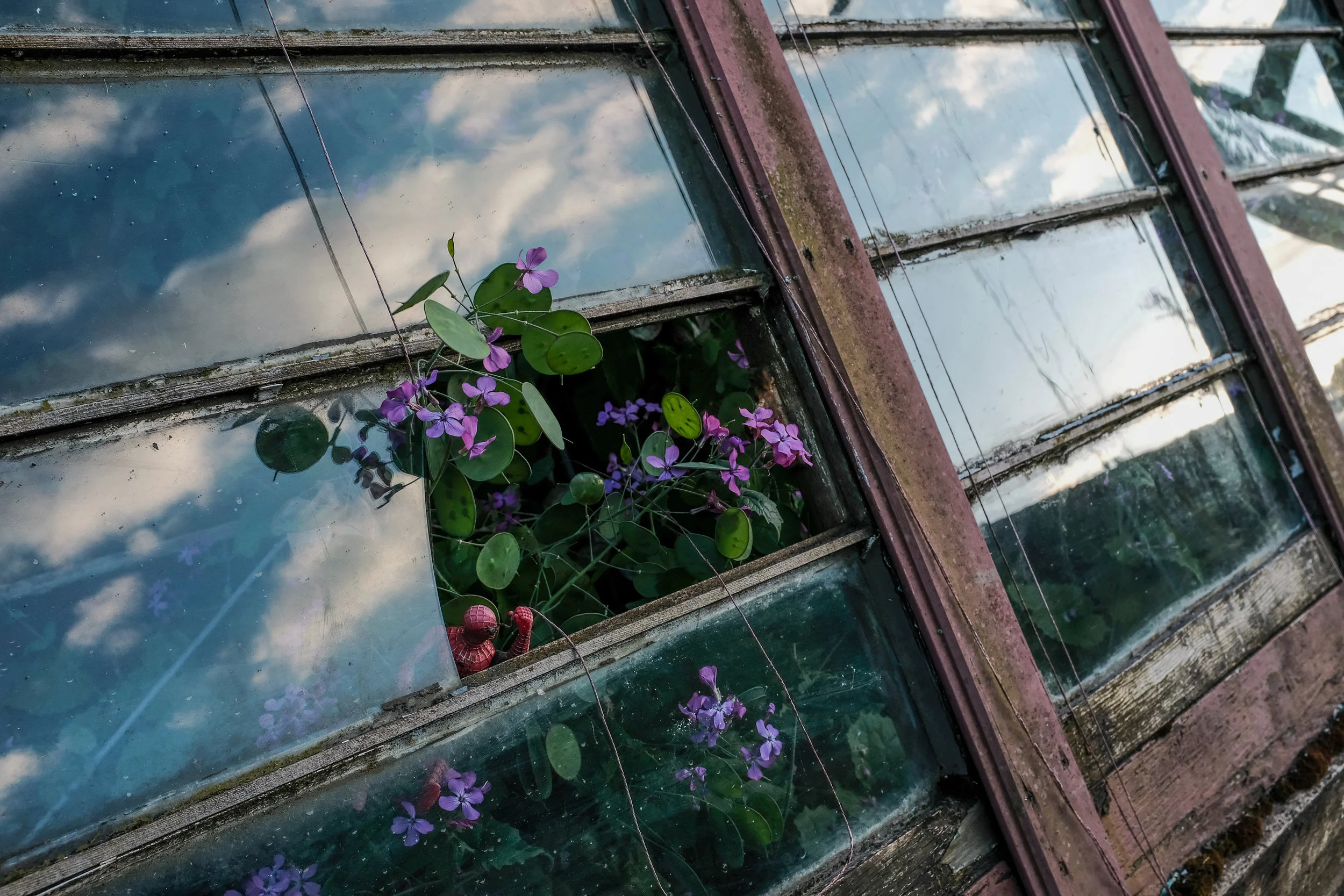  Justel Philippe - Category Winner: Natural World 