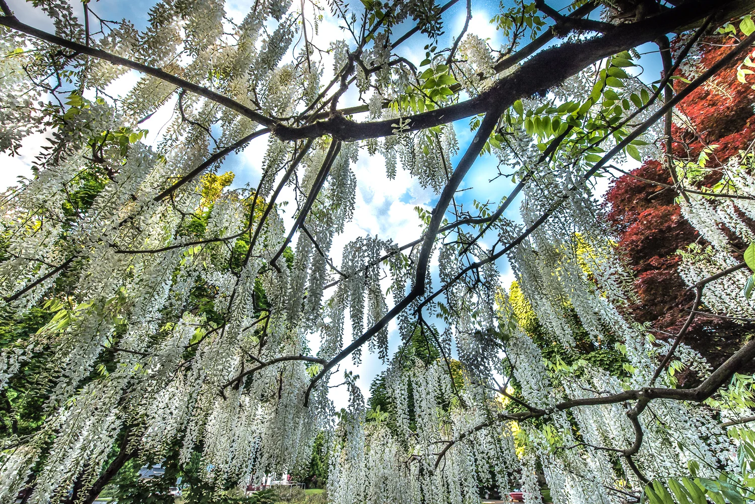  Jason Hill - Honorable Mention: Natural World 