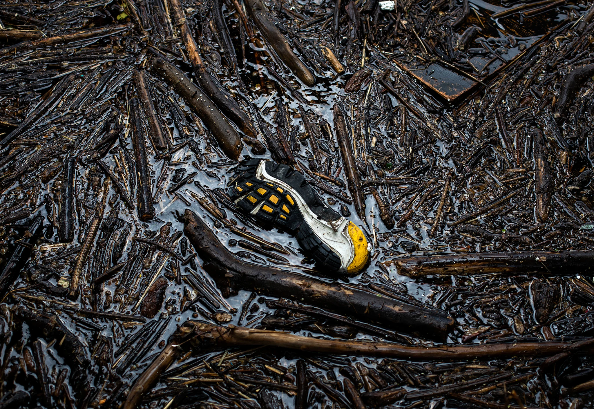 Alisha Jucevic, Natural World -Winner