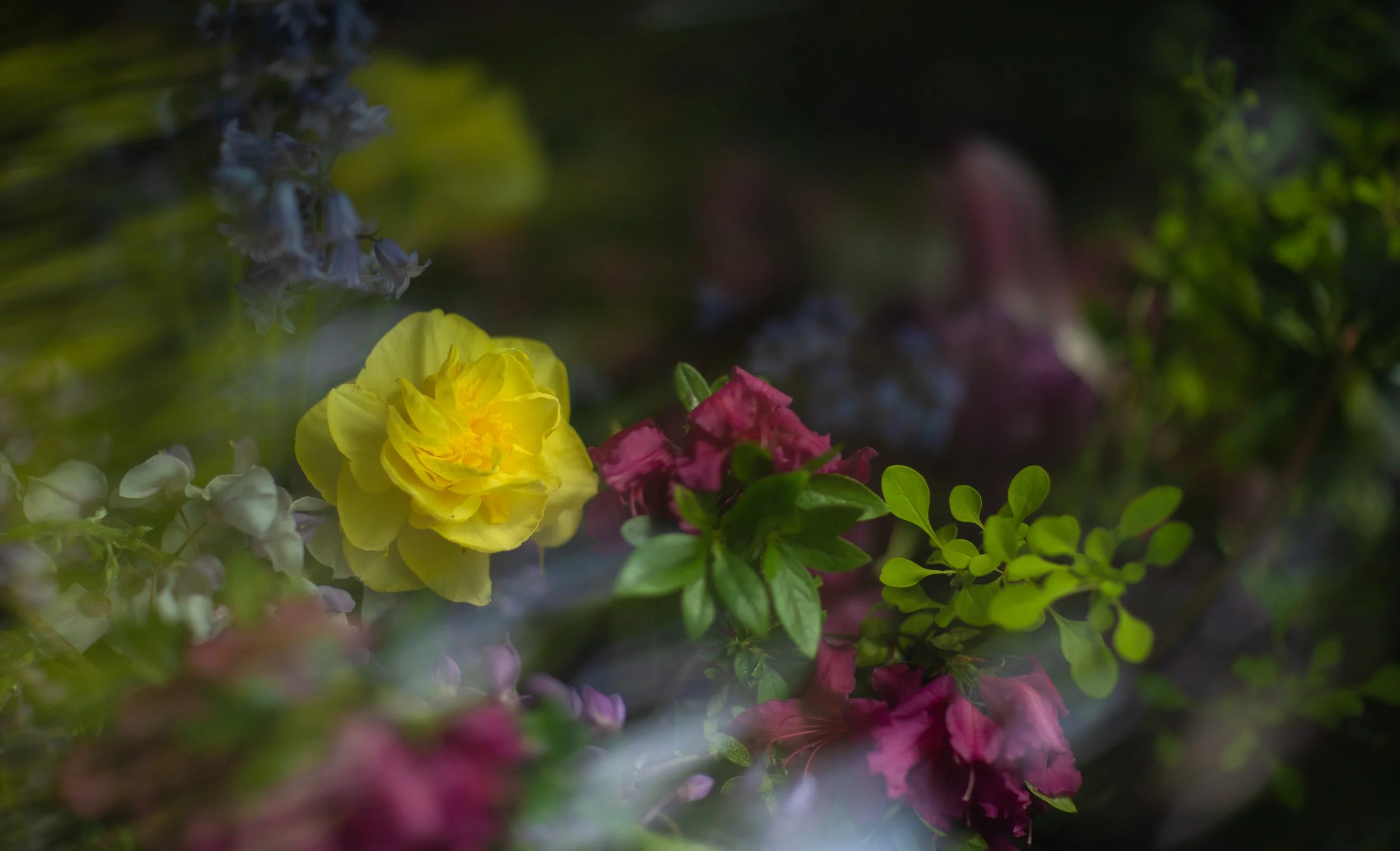 Jennie Baker - 1st Place Natural World