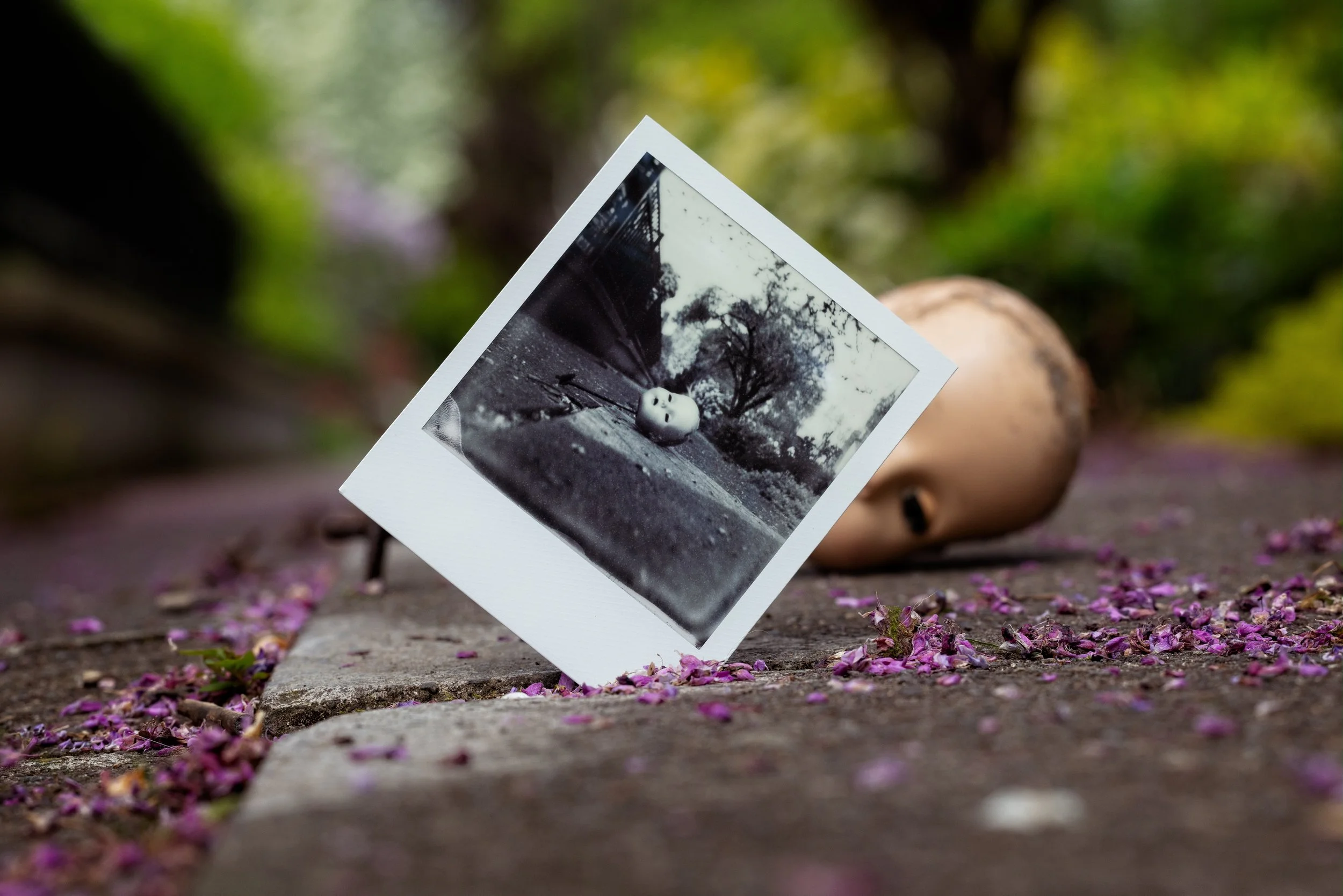 Dawn Kowalewski -1st Place Portlandia