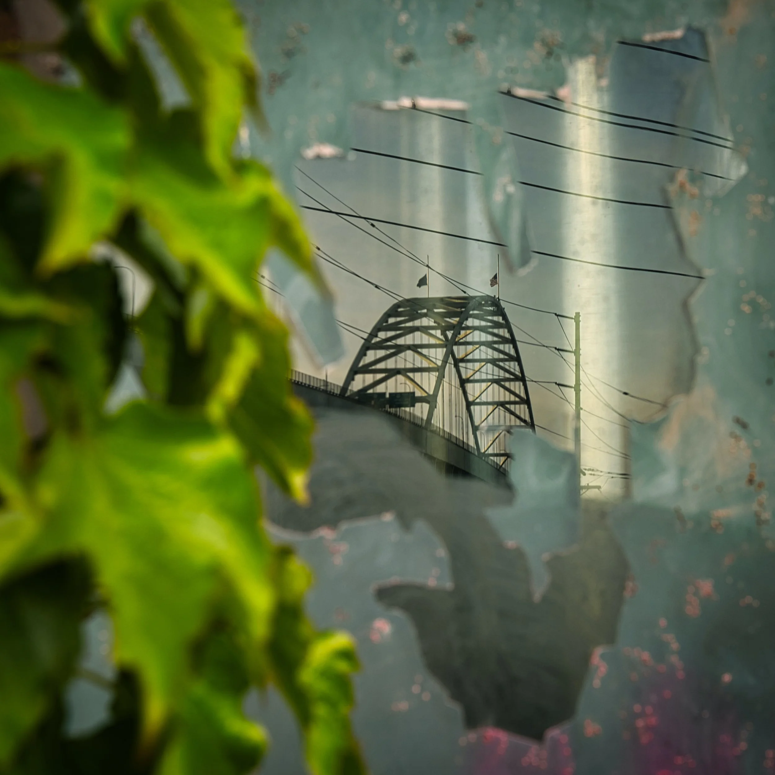 Michael Montez - HM Urban Landscape