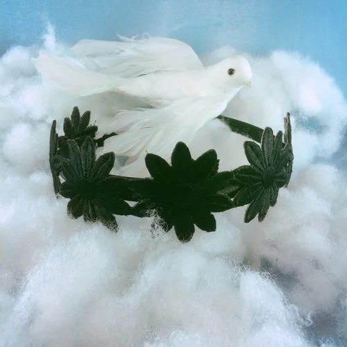 black daisy headband1239.jpg