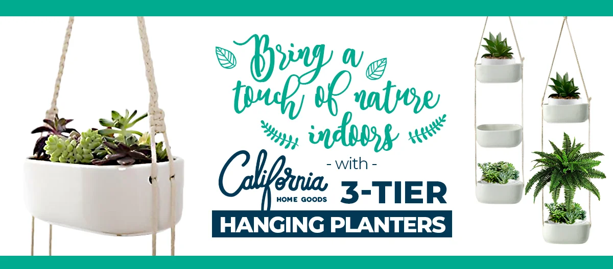 Not too long ago, we used to think that plants only belong outside, in the garden. But with the current trends on growing succulents, kitchen herb gardens, and green walls, we all know now that plants are just as useful indoors as they are outdoors. However, plants are more than just affordable or natural design elements that add color, focal point, texture and depth to any interior aesthetic. Here are some of our favorite reasons why having plants inside the home, office, or business is good for you: