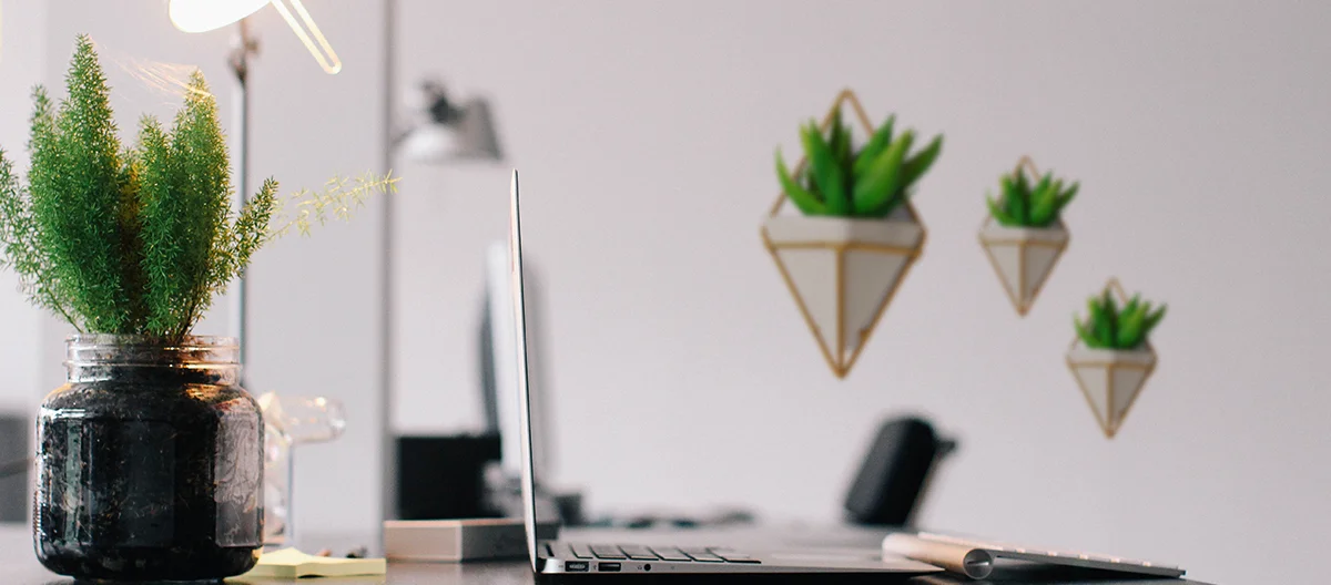 Houseplants can easily rejuvenate stuffy indoors and revamp boring spaces. More than just beautiful natural accents to your home, plants can improve air quality, help relieve stress, lighten your mood, and improve productivity, among others. And simply because of those amazing benefits of having indoor plants, a brown thumb, limited budget, or even the lack of trying is no excuse for not having a single plant in your home. That said, here are our top picks for the best houseplants you can get for only around $20 or less and most of all grow even without a green thumb: