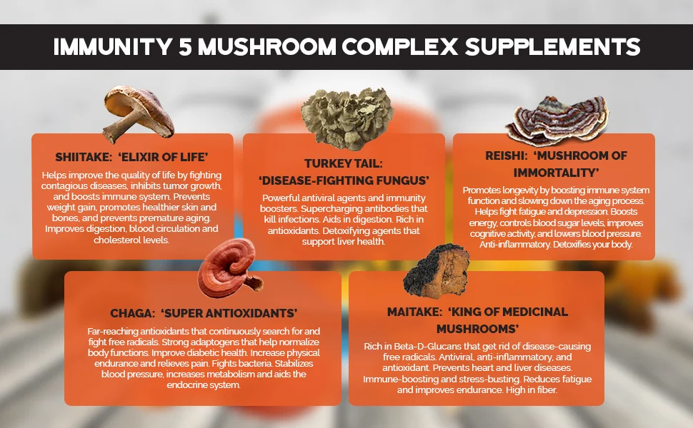 But don’t go and choose just any supplement. Pick one that’s rich in beta-glucans to make sure your body absorbs and takes advantage of every single bit of medicinal mushroom benefit. Opt for the one that’s specifically made from the top-performing medicinal mushrooms like Chaga, Reishi, Turkey Tail, Maitake, and Shiitake -- no other than the Tribal Naturals Immunity 5 Mushroom Complex !
