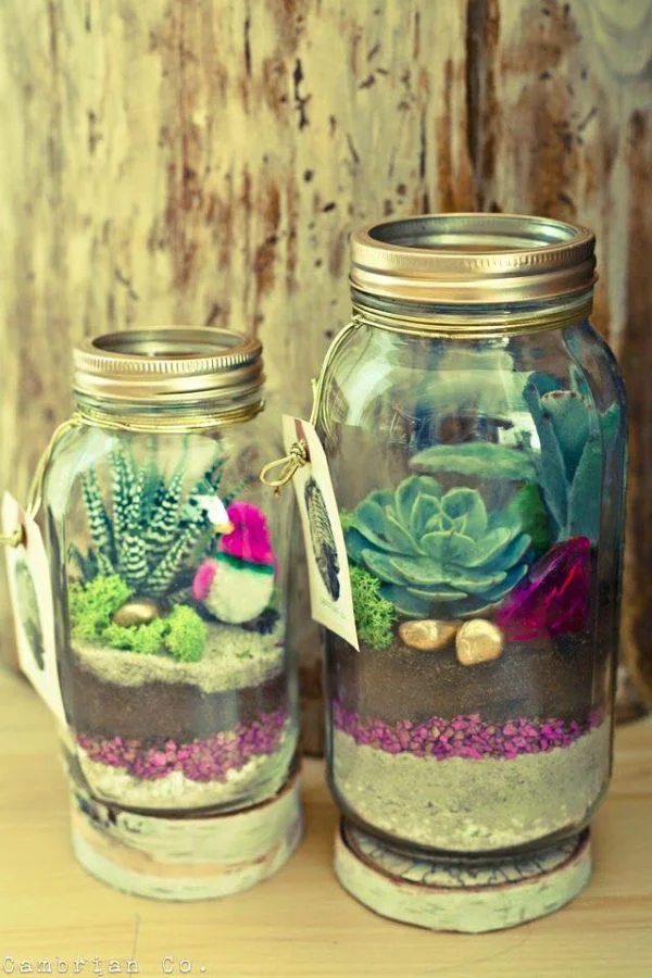mason jar succulent.jpg