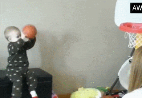 giphy-1.gif