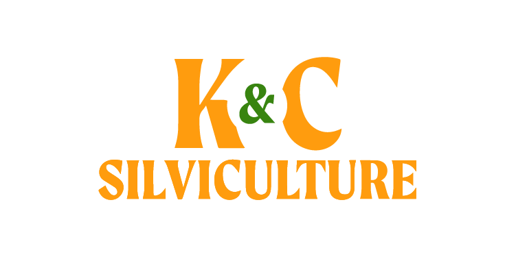 kc.png
