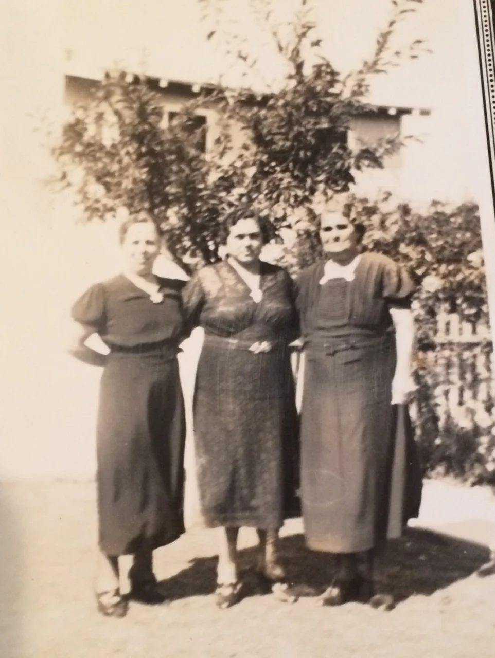 Some of the "coven." My great-grandmother is in the center.