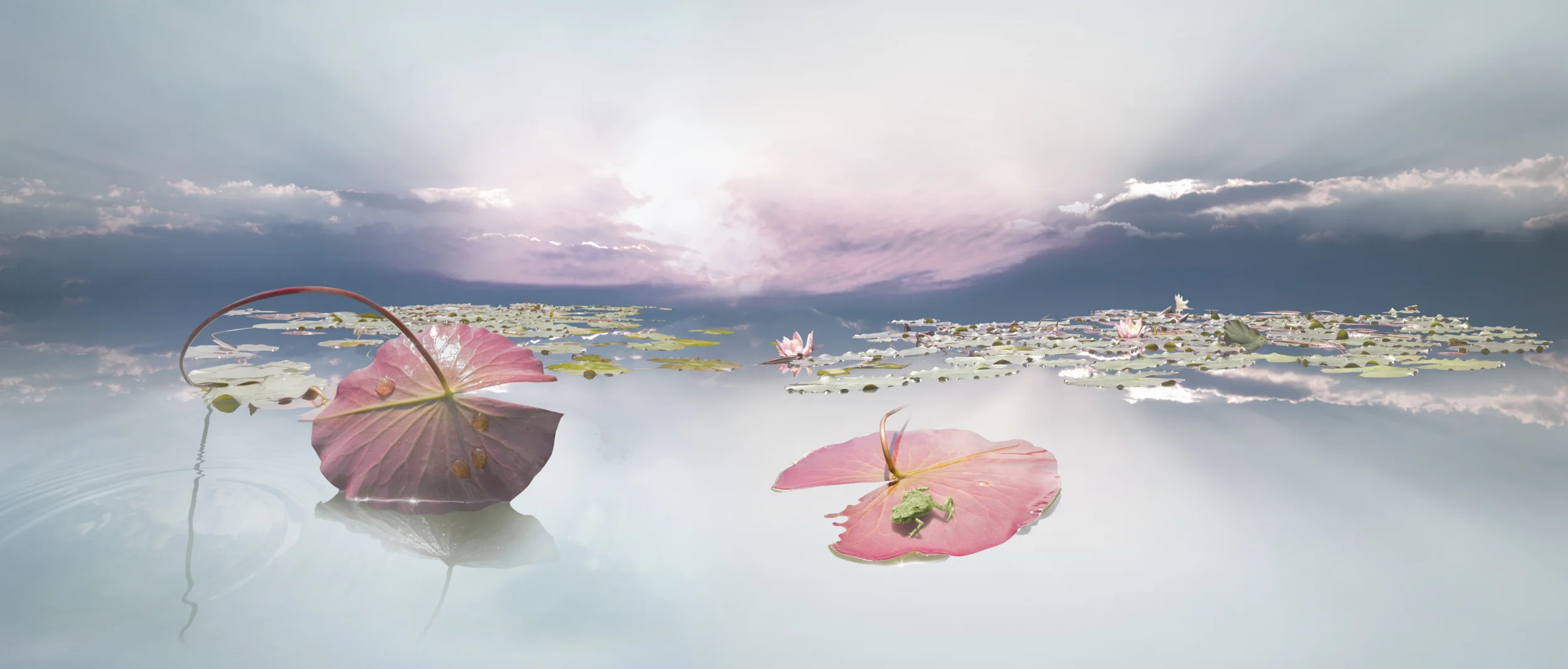 Photo by designnatures/iStock / Getty Images