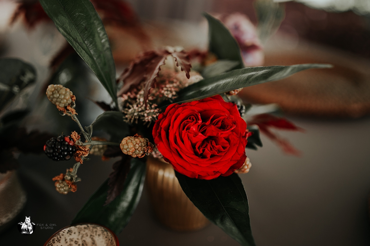 madison+tylerfoxandowlstudio_0101.jpg