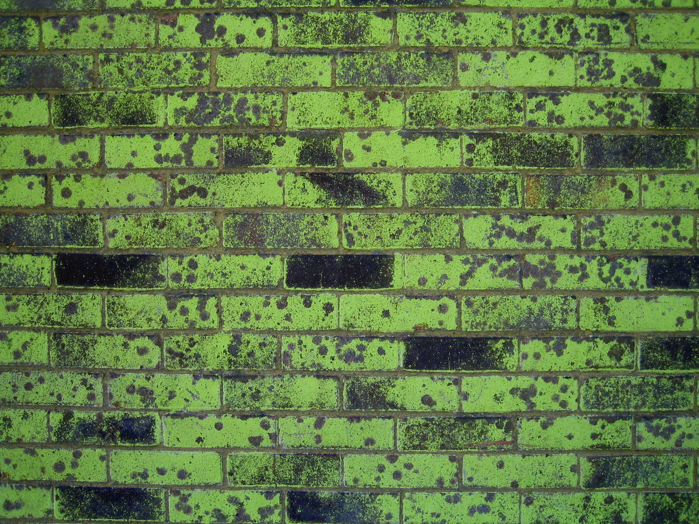 IMG_7280.JPG