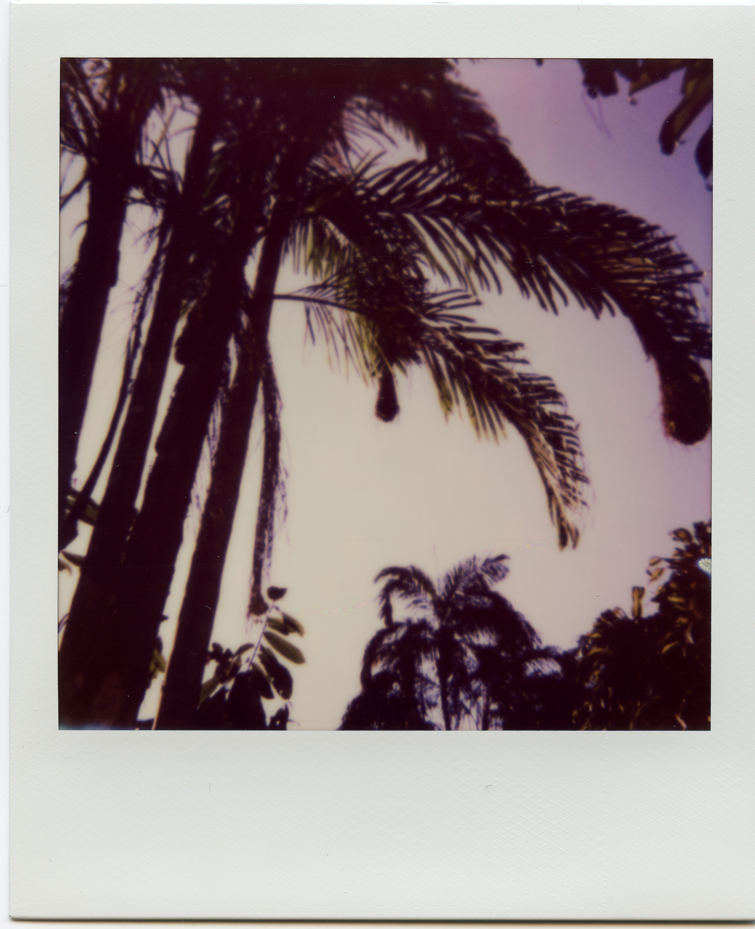 Polaroid-Amazon-4.jpg