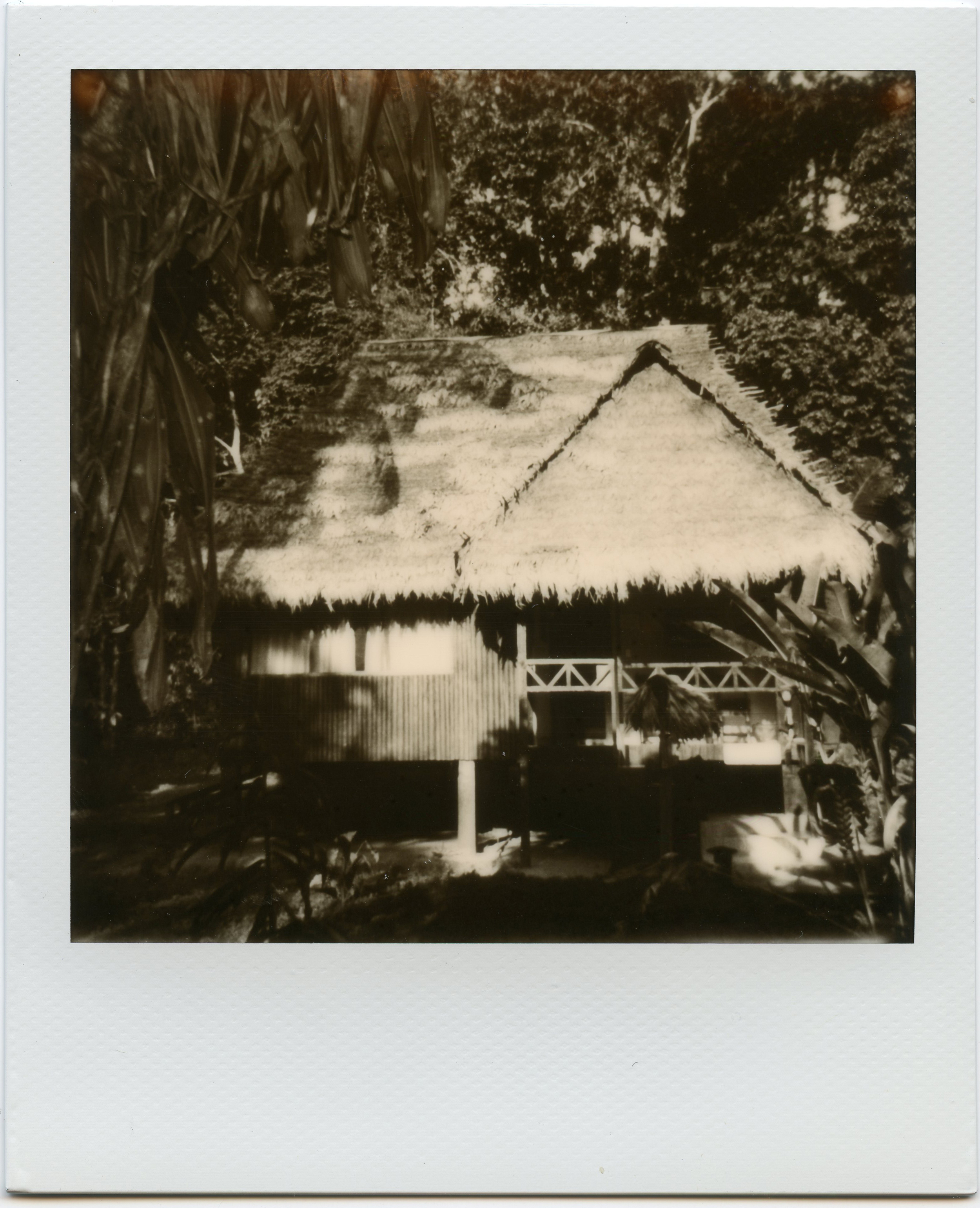 Polaroid-Amazon-7.jpg