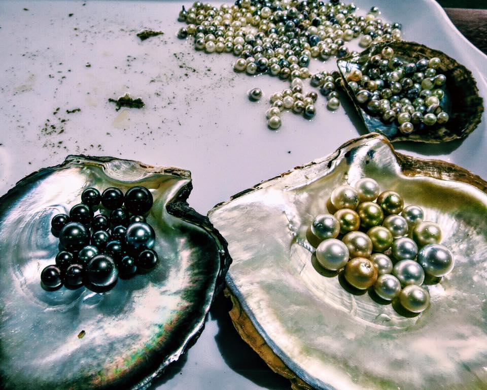 The gems of Ha Long Bay, Vietnam.