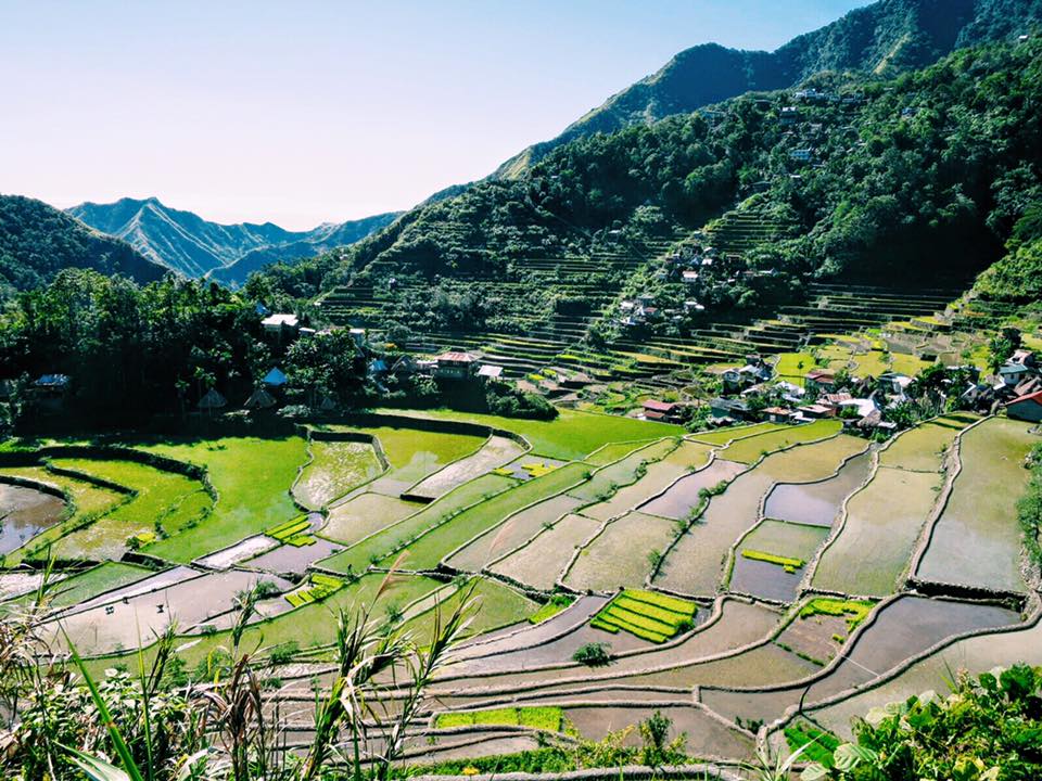 Batad Rice Terraces. After a day & a half of hiking, we were rewarded with this epic view.