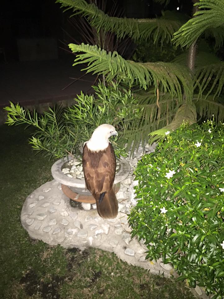The eagle has landed. Repeat, the eagle has landed.