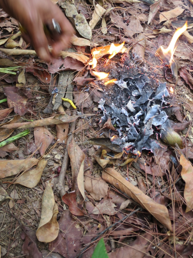 Dessert: smoked jungle caterpillars. (RIP butterflies)
