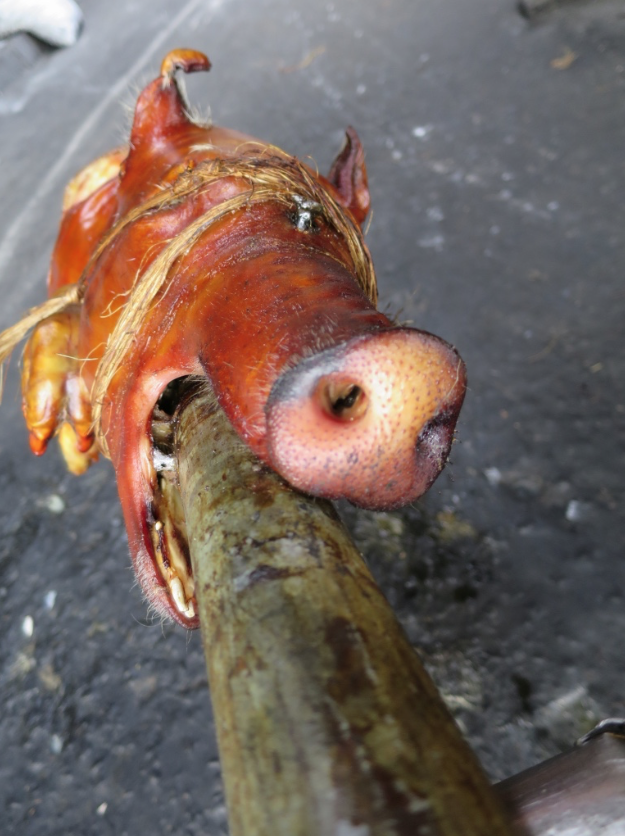 We stopped at a roasting pit on the outskirts of Manila. Hungry?