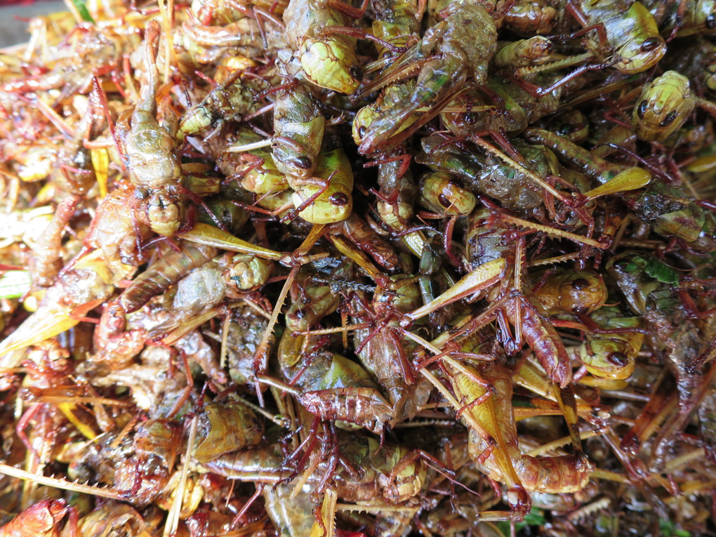 Seasoned grasshoppers