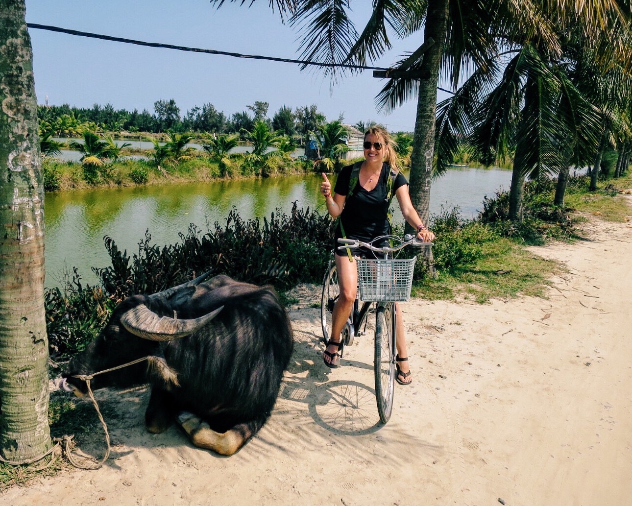 Enthusiasm levels at this moment: Me = 100,000. Water buffalo = 0.