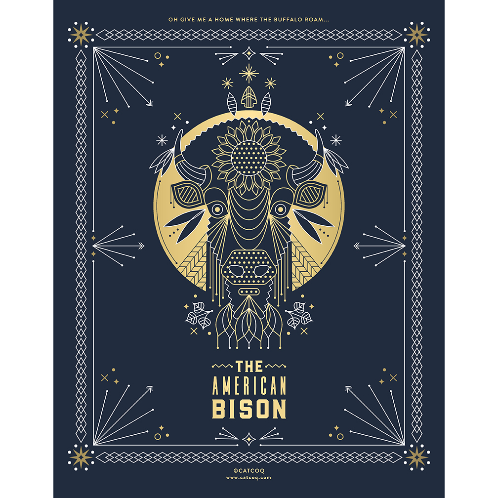 The American Bison – Screenprint