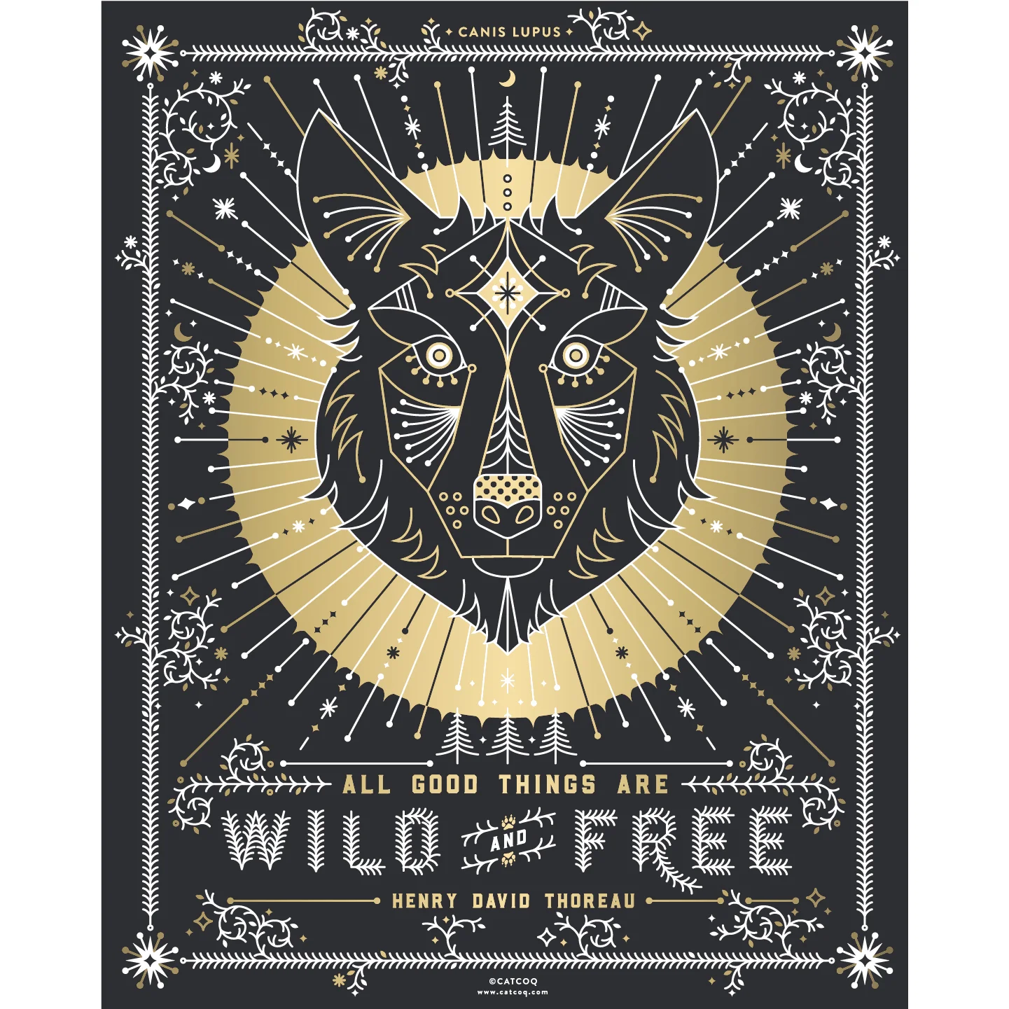 Wolf-Vahalla copy.jpg