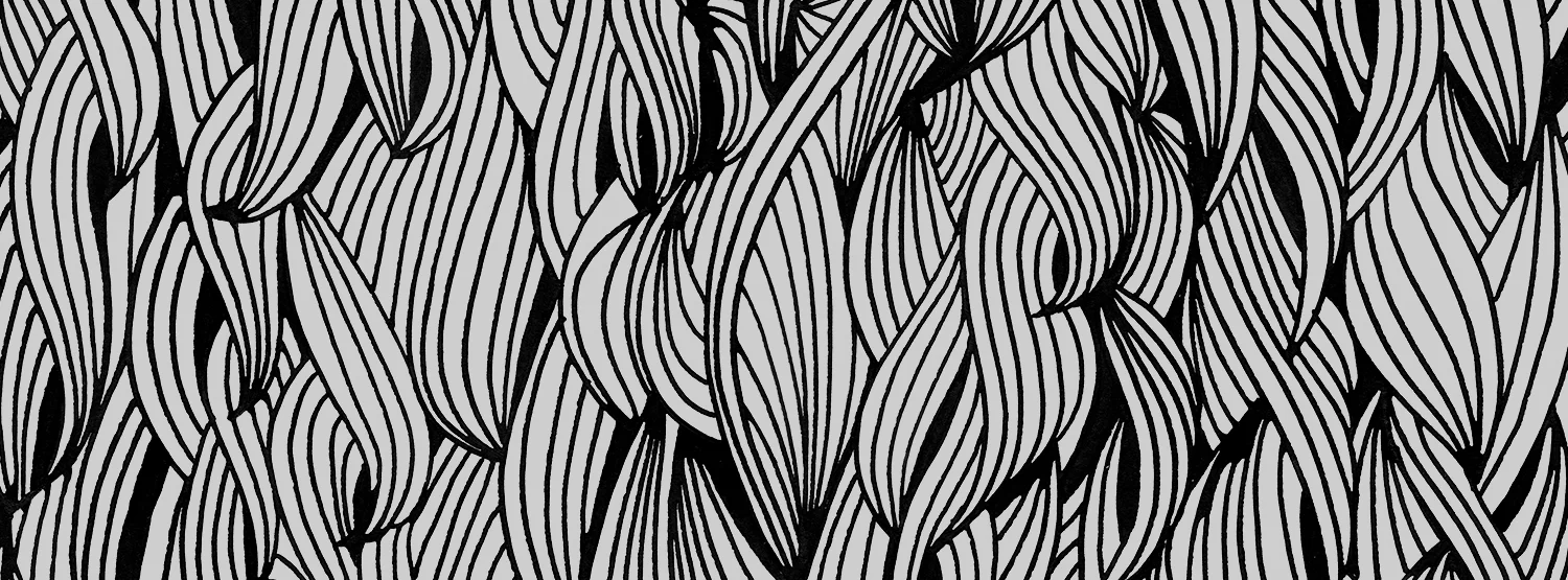 Illustration — CatCoq