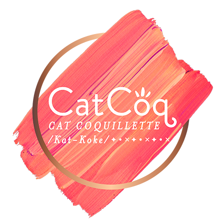 Patterns — CatCoq