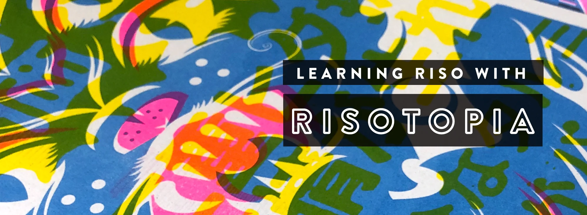 Riso-HEADER.jpg