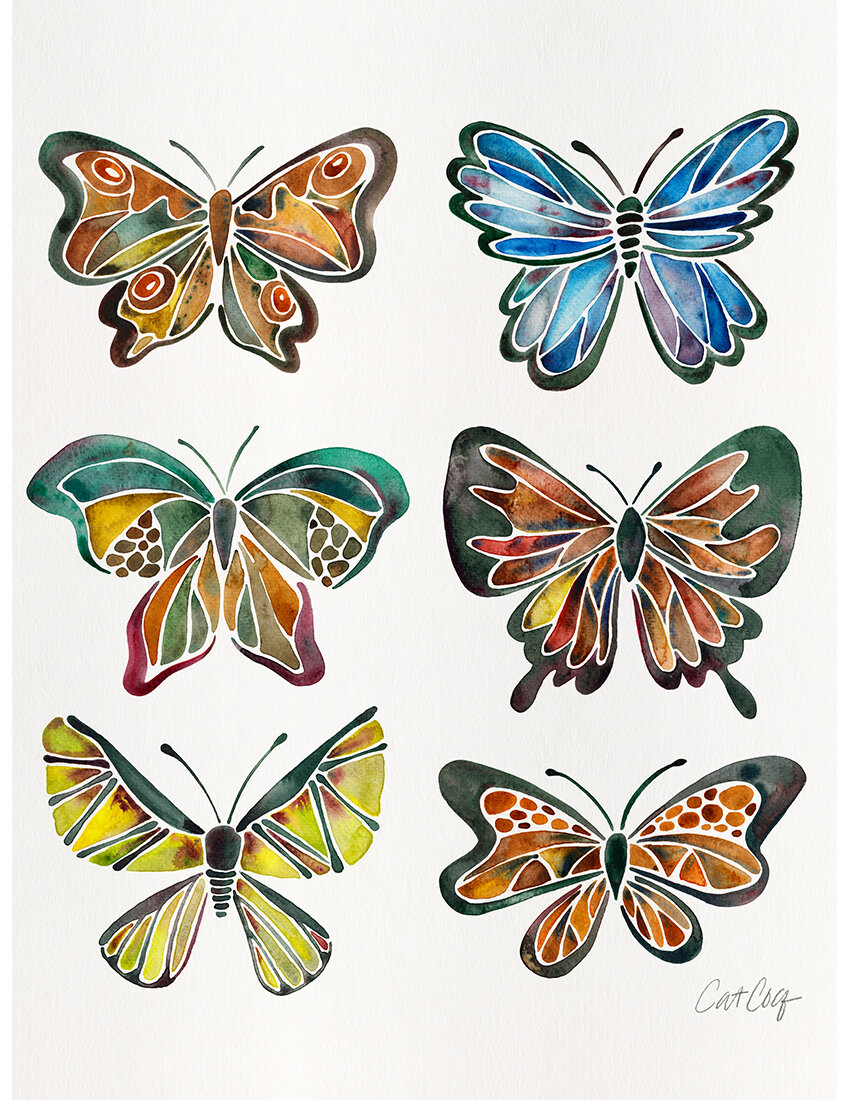 COQ Butterfly Specimens.jpg