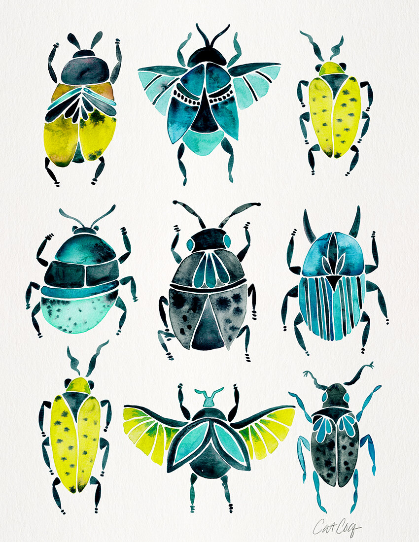 COQ Beetle Collection - Lime Turquoise.jpg
