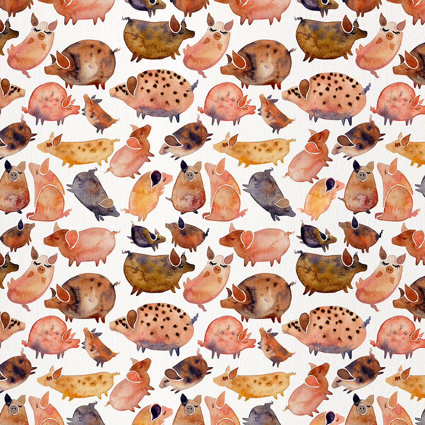 COQ Pig Collection Pattern.jpg