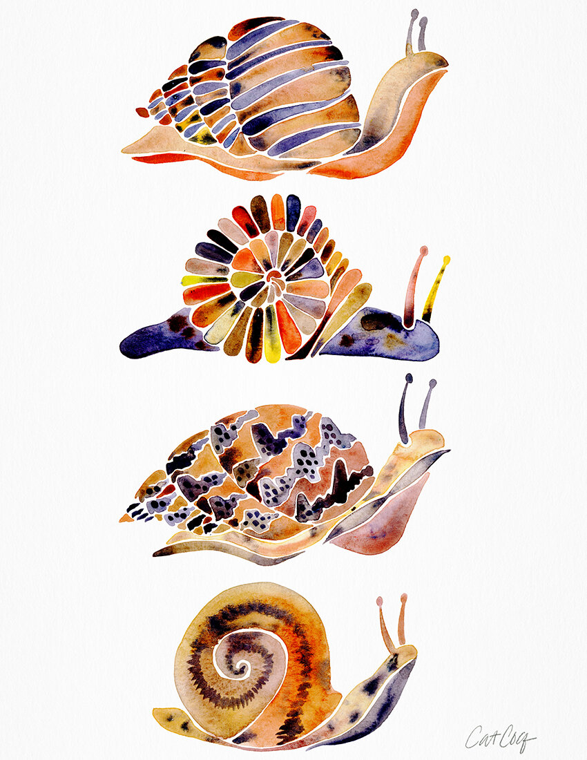COQ Snail Collection.jpg