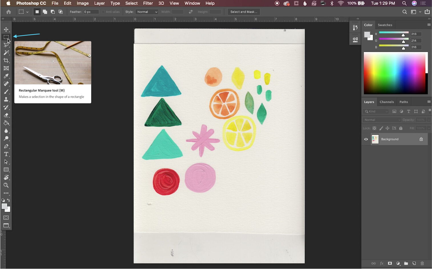 The Step by Step Guide to Digitizing Artwork in Photoshop — CatCoq
