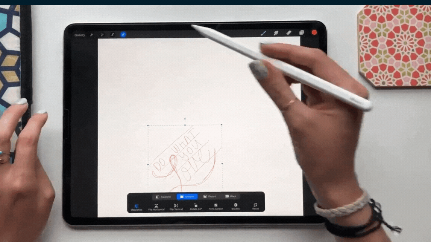 The Guide to Hand-Lettering in Procreate — CatCoq