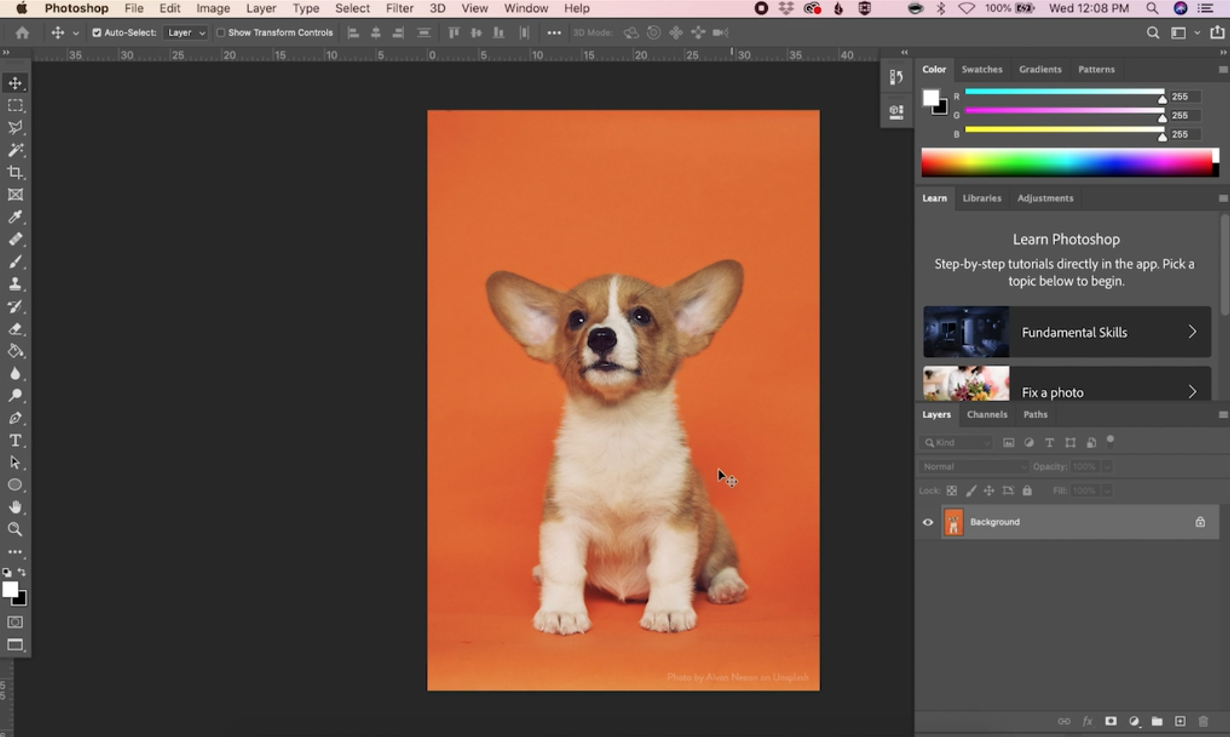 How to Remove a Background in Photoshop — CatCoq