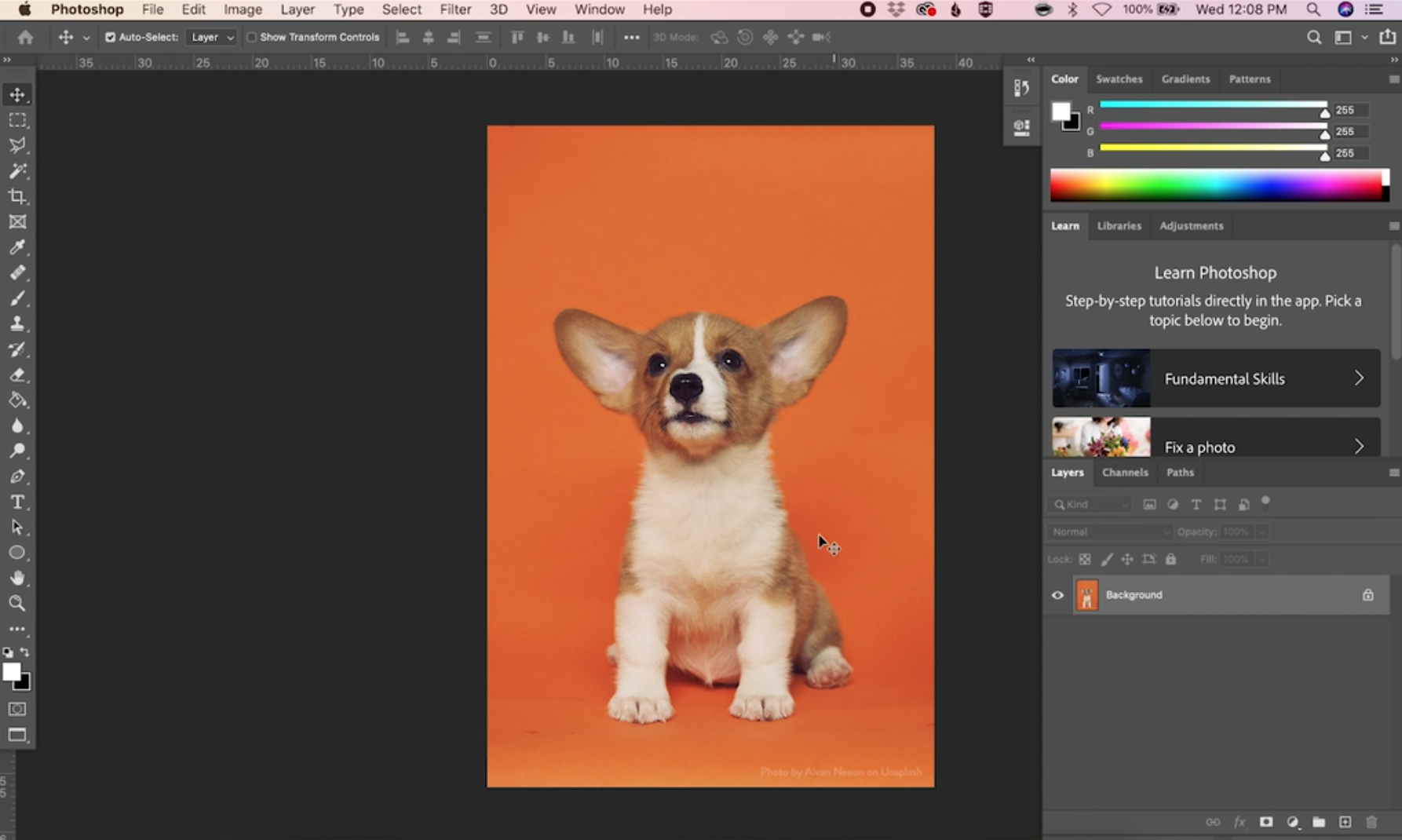 How To Remove A Background In Photoshop CatCoq