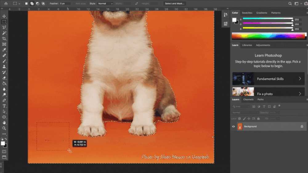 How to Remove a Background in Photoshop — CatCoq