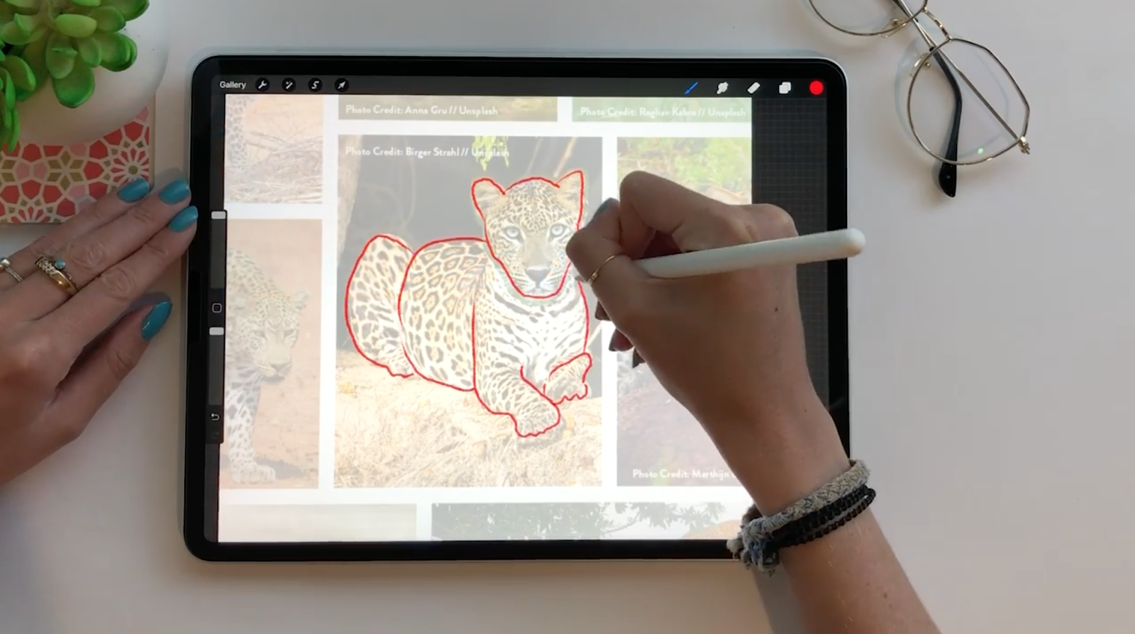 Draw in a Freeform board on iPad - Apple Support