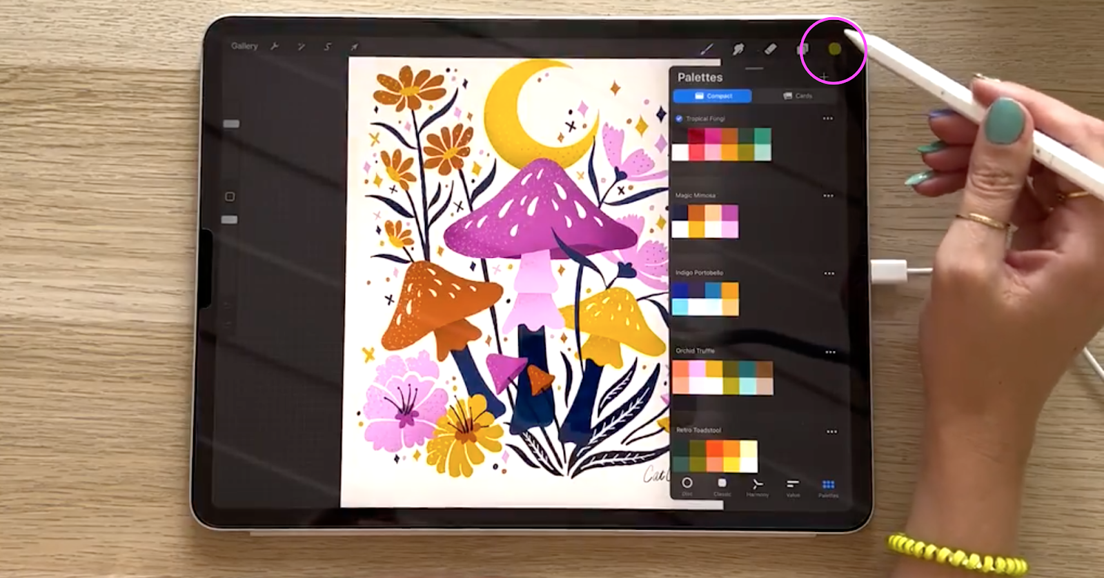 How to Open Downloaded Assets in Procreate — CatCoq
