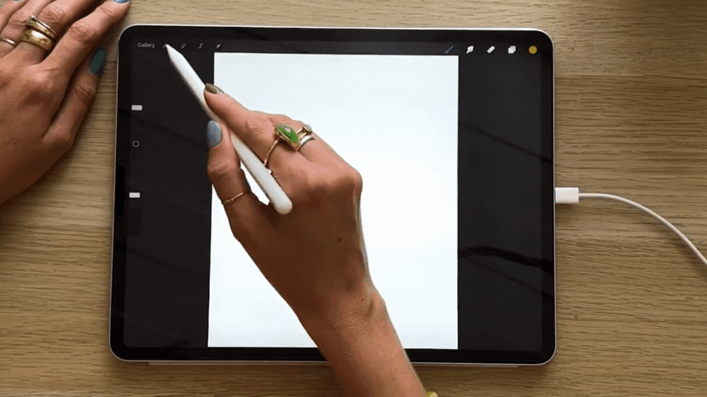 How to Sketch From Reference Images in Procreate — CatCoq